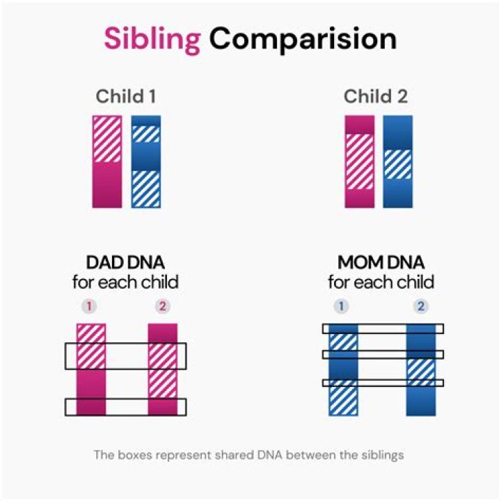 Are step siblings entitled to inheritance?