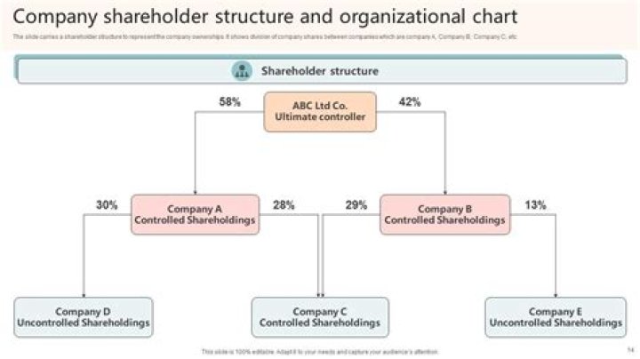 Can a majority shareholder shut down a company?