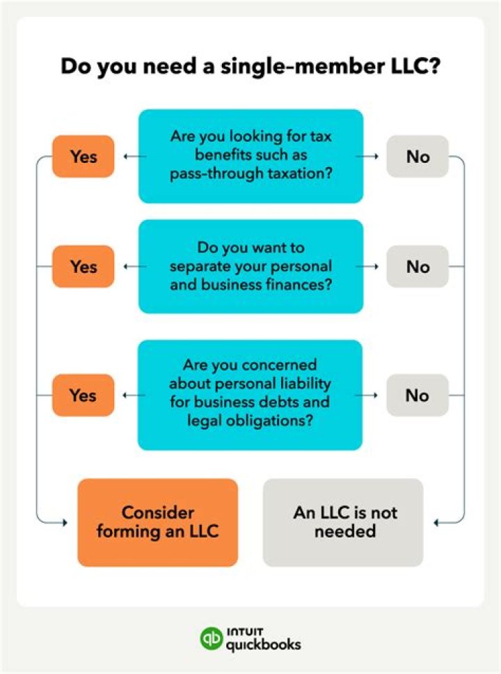 Can a single-member LLC take a salary?