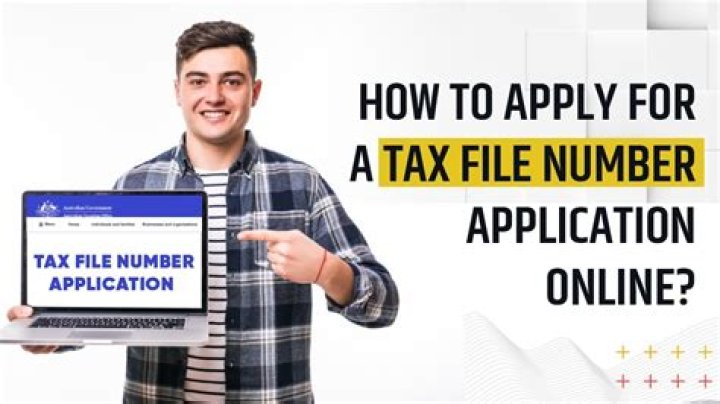 Can I file tax 2 times?