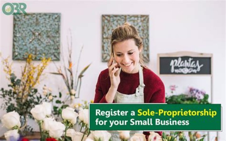 Can online business be sole proprietorship?