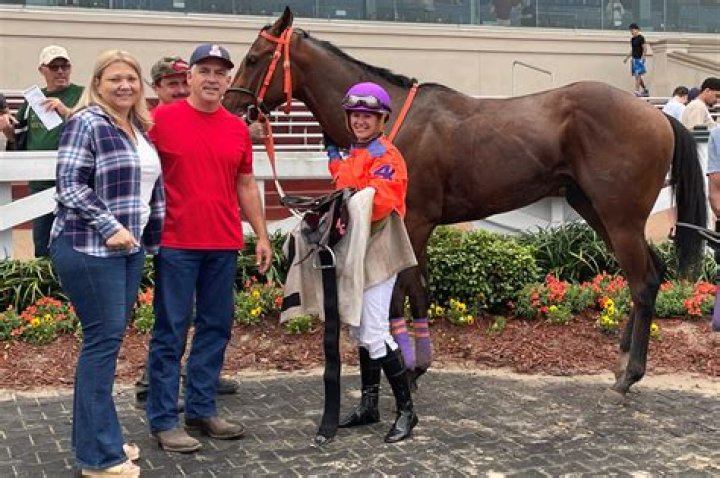 Can you claim a racehorse on tax?