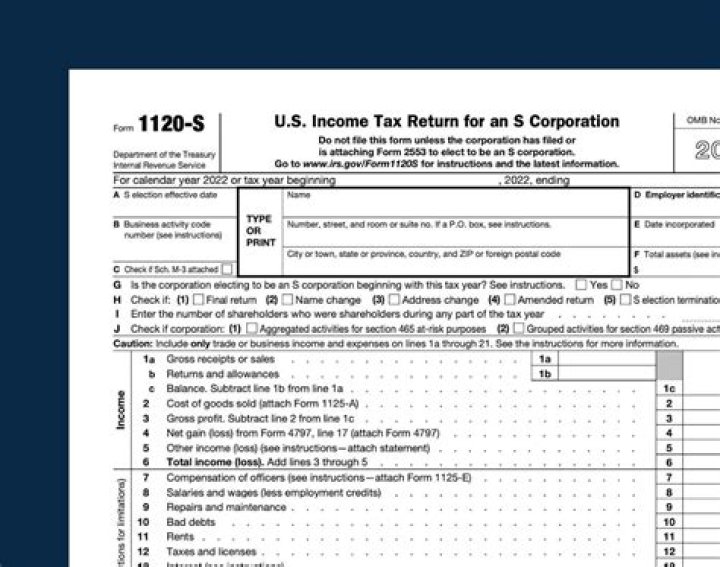 Do I file 1120 or 1120S?