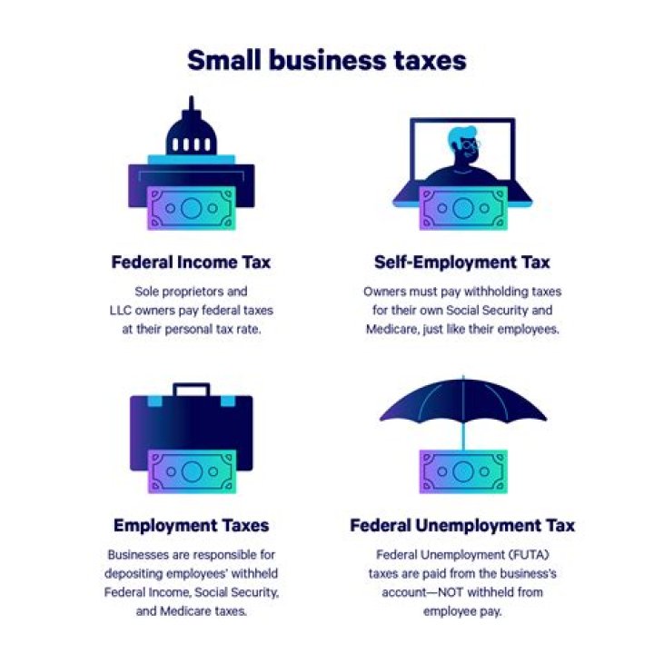 Do LLCS pay taxes in Delaware?