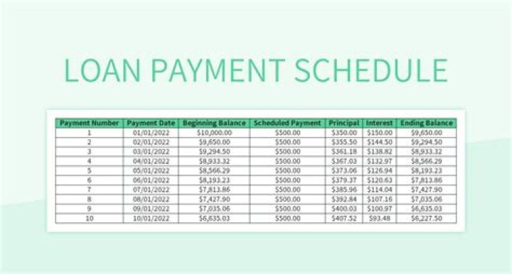 Do loan payments stop if you go back to school?