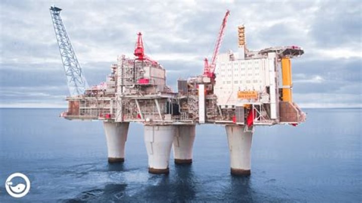 Do offshore companies pay US taxes?