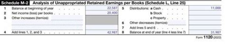 Do you have to complete Schedule M-2?