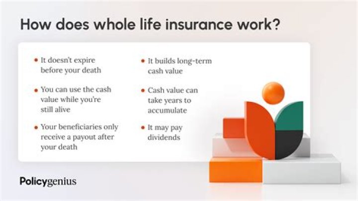 Does whole life insurance start immediately?