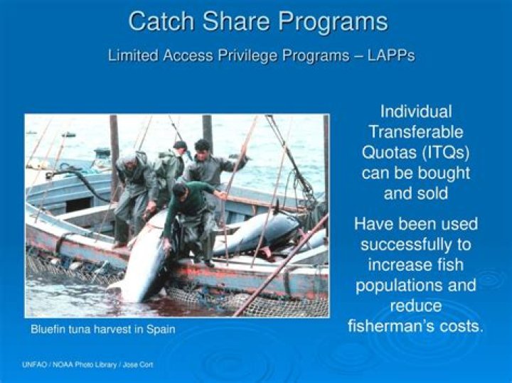 How are catch share programs helping to eliminate overfishing?