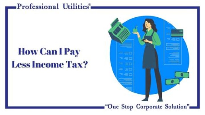 How can I pay less on back taxes?