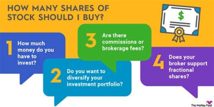 How many shares should I issue when incorporating in Delaware?