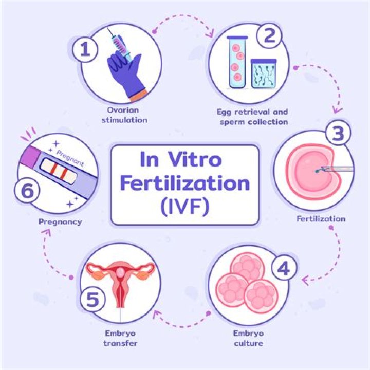 How many times can a woman do IVF?