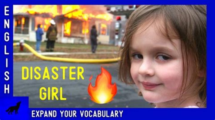 How much did the disaster Girl meme sell for?