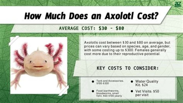 How much does it cost to buy Word and Excel?