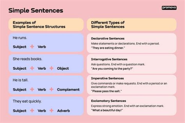 How to use categories in a sentence?