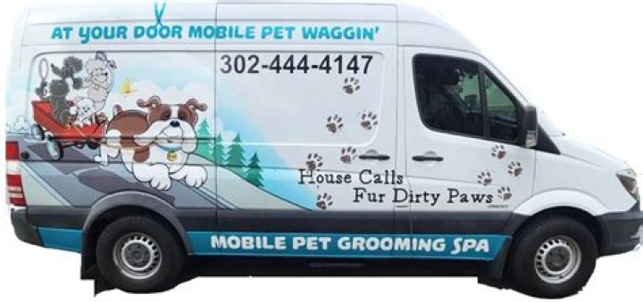 Is a mobile dog grooming business profitable?