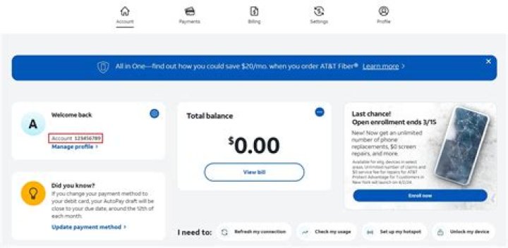 Is a WordPress account free?