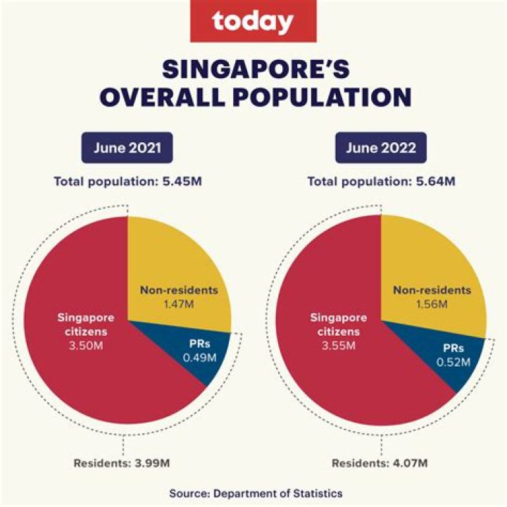 Is Singapore permanent resident considered Singaporean?