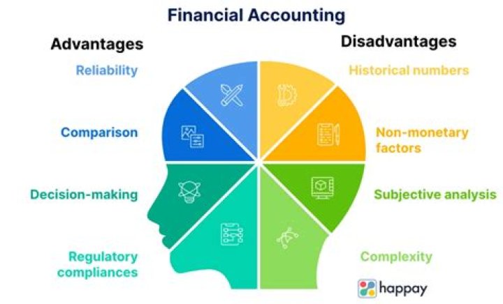 What are disadvantages of financial accounting?