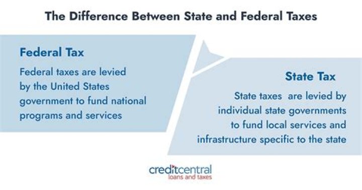What are federal and state tax returns?