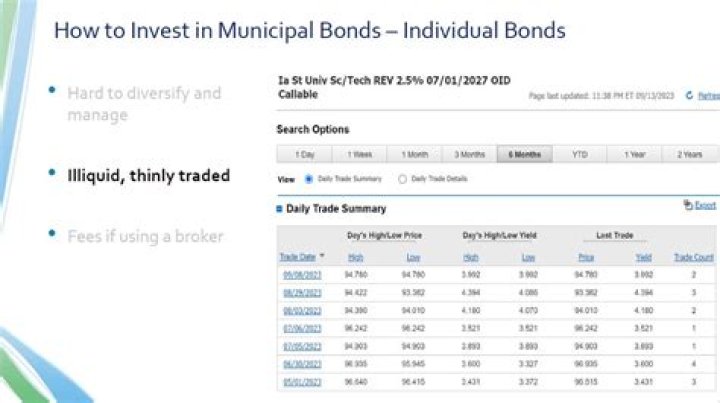 What are individual municipal bonds?