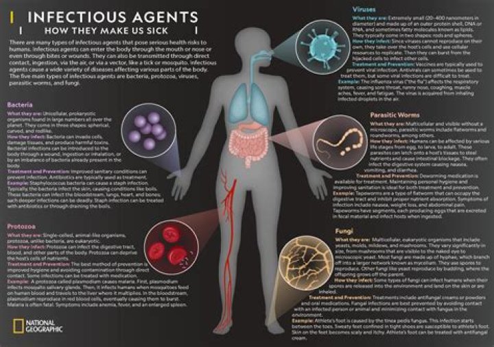 What are the effects of infectious diseases?