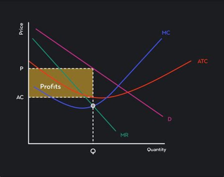 What are the problems of accepting maximization of profit or earning per share as the ultimate goal of a company?
