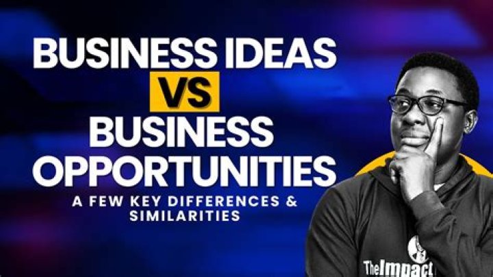 What do you understand by a business idea and a business opportunity?