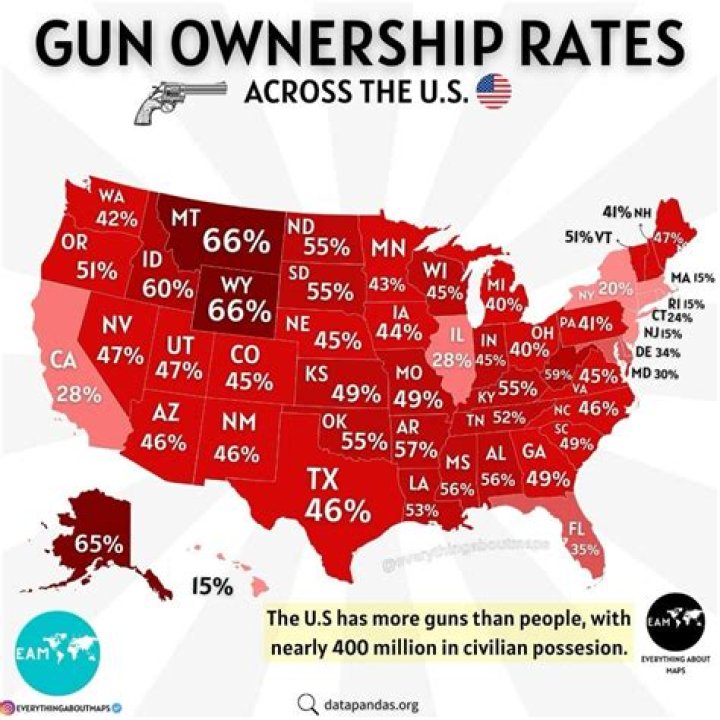What does it mean ownership percentage?