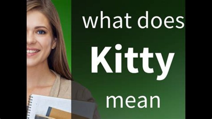 What does kitty mean in finance?