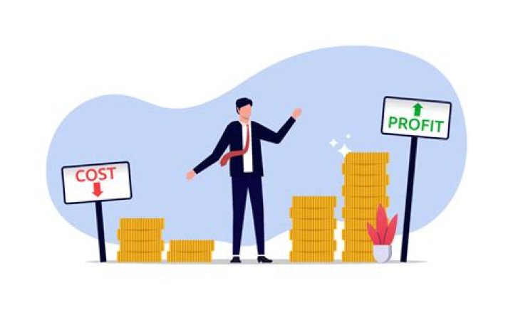 What is a business in which all the profits can be used by the owner?