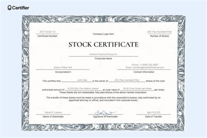 What is a company stock certificate?