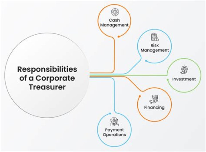What is a corporate treasurer?