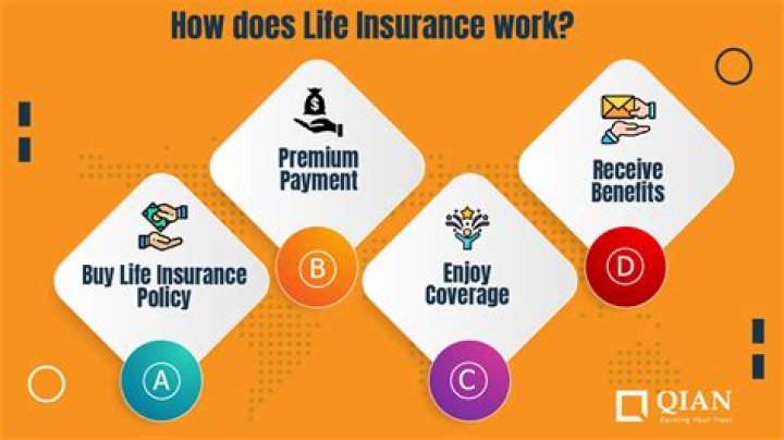 What is a life insurance disbursement?