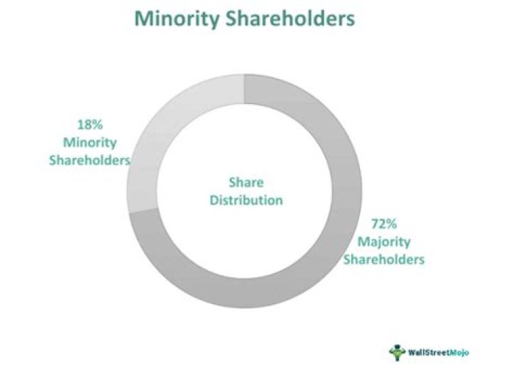 What is a minority shareholder lawsuit?