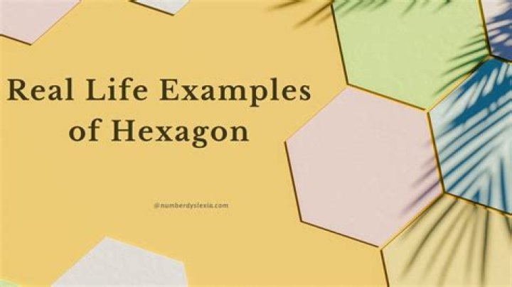 What is a real life example of habituation?