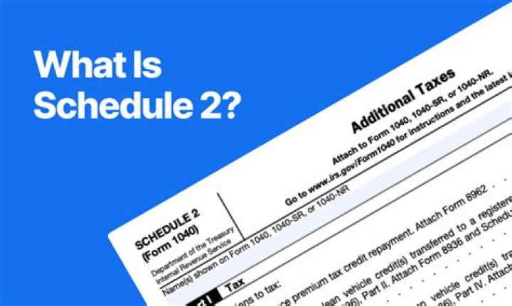 What is a Schedule 2 tax form used for?