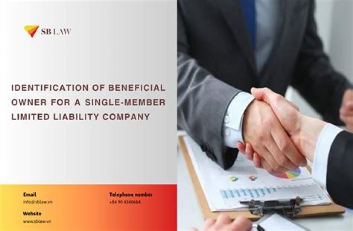 What is a single member limited liability company?