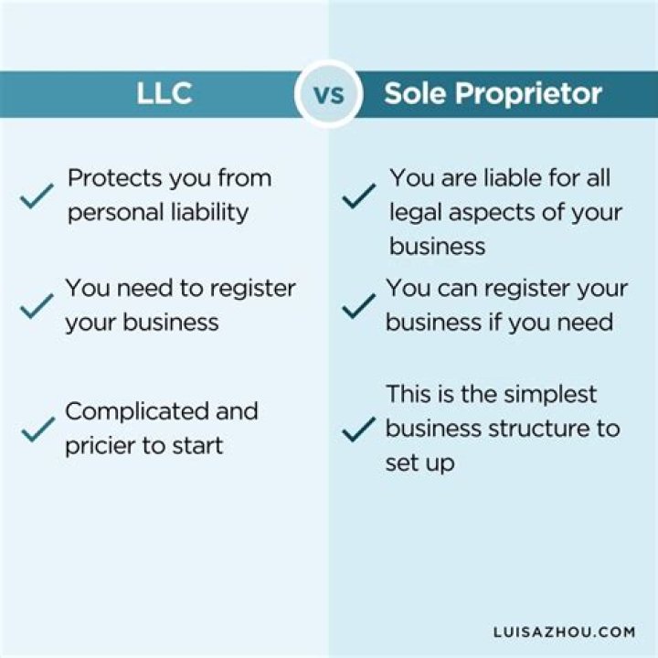 What is a sole proprietor responsible for?
