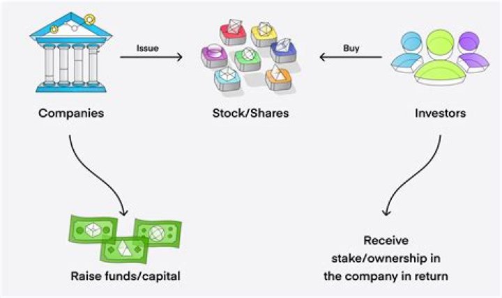 What is a stock investment club?