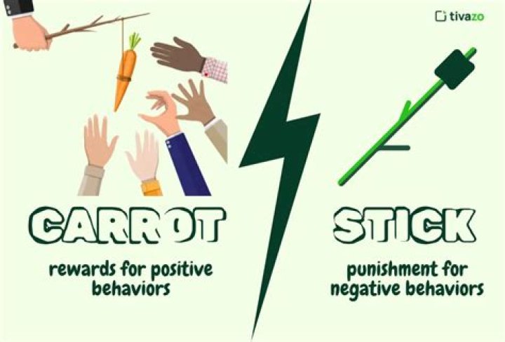 What is the carrot and stick approach?