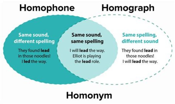 What is the homonyms of aisle?