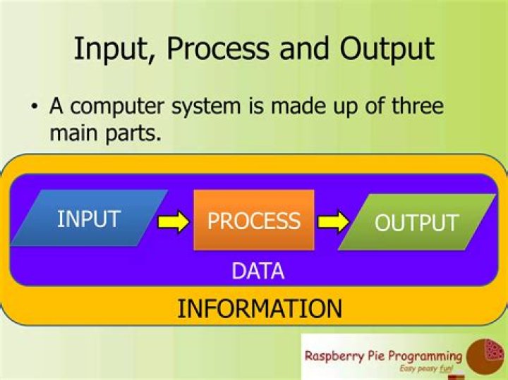 What is the input and output of accounting process?