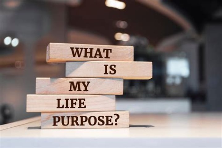 What is the purpose of this website?