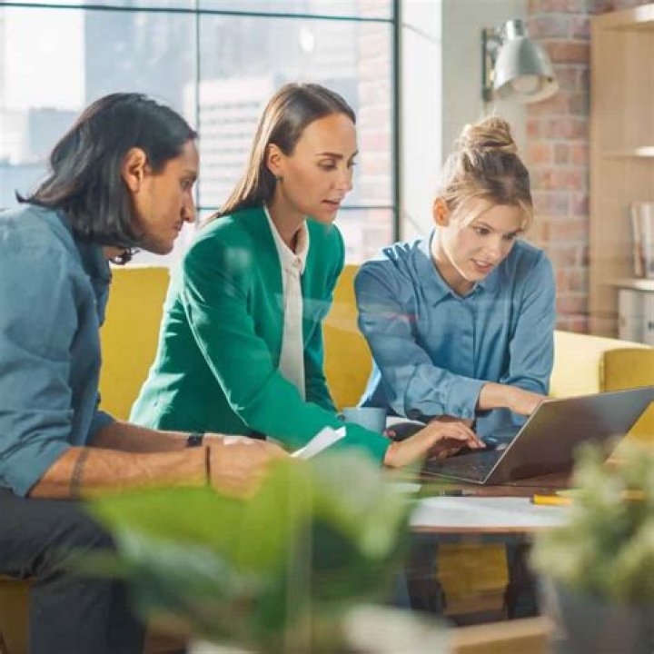 What is the role of a consulting firm?