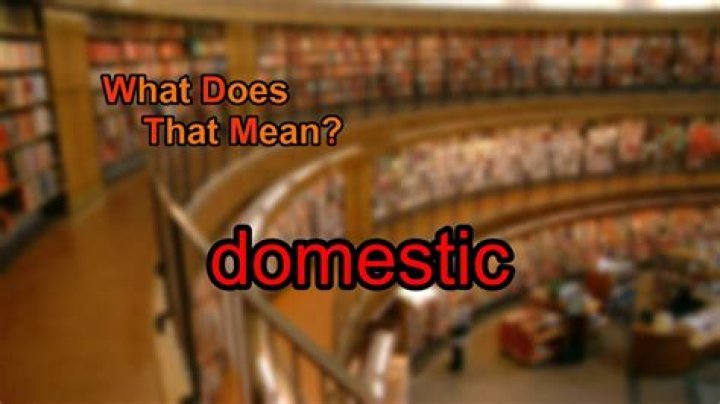 Whats does domestic mean?