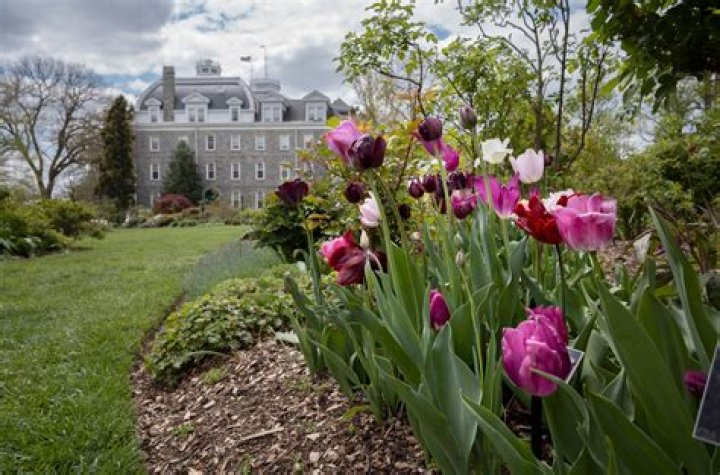 Who can apply to Wellesley?