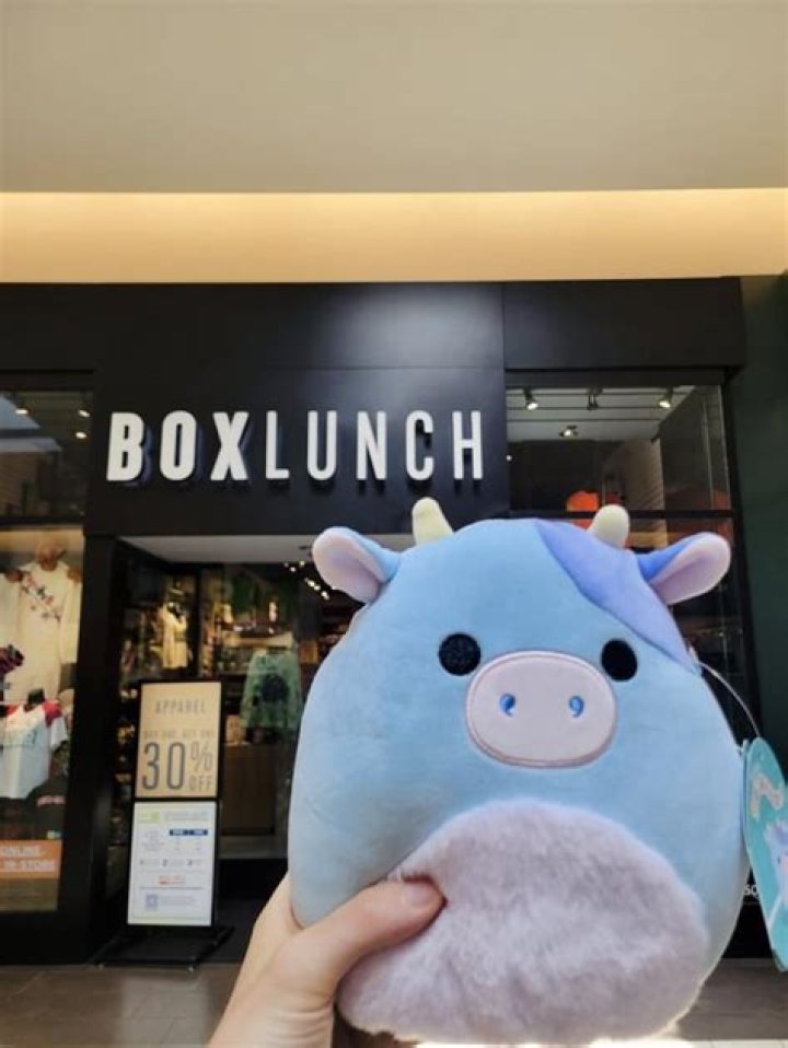 Who founded Boxlunch?