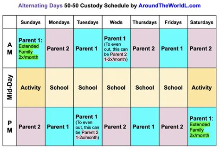 Why would a judge grant 50/50 custody?